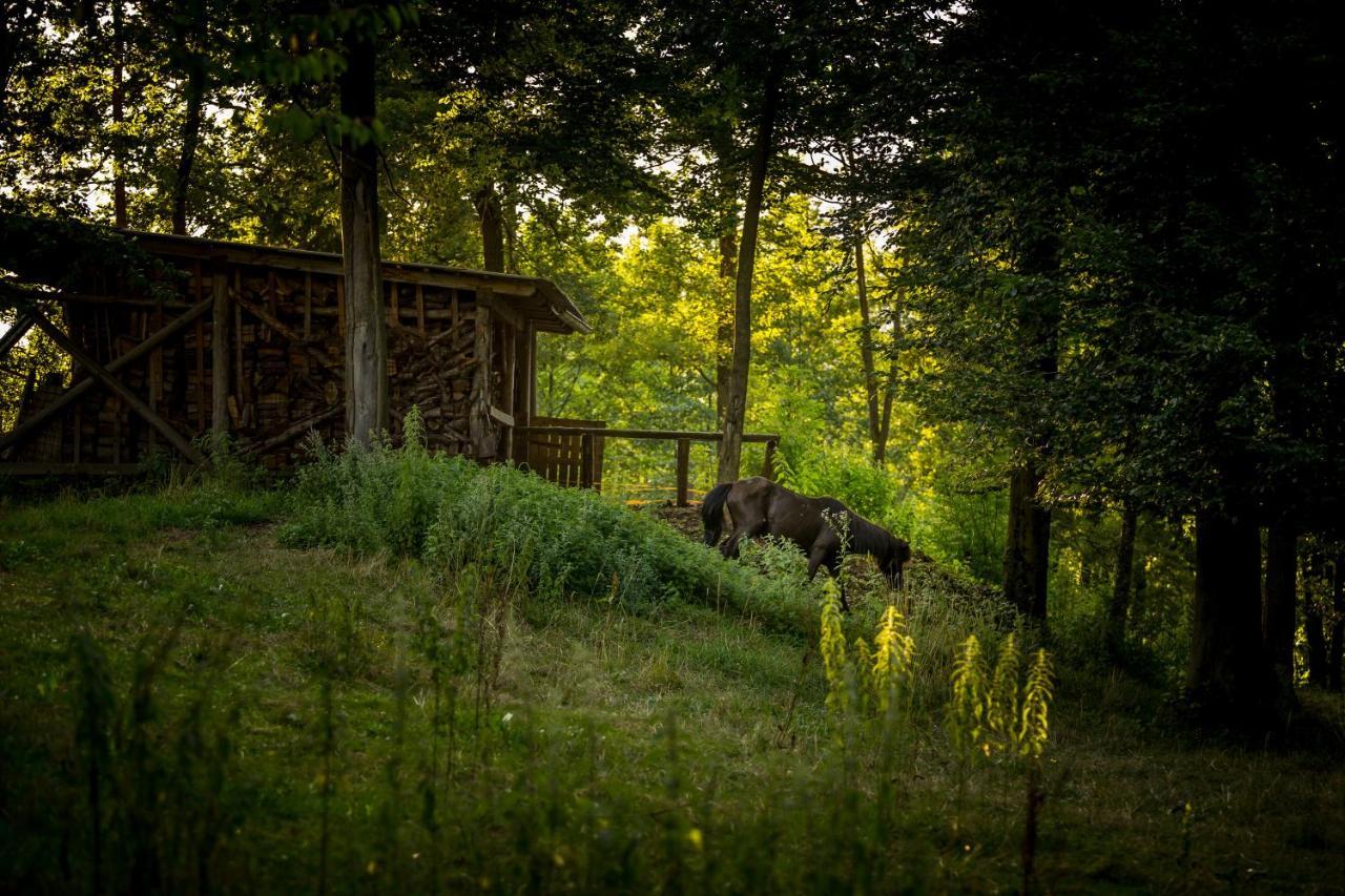 Forest Camping Mozirje Hotel Exterior foto